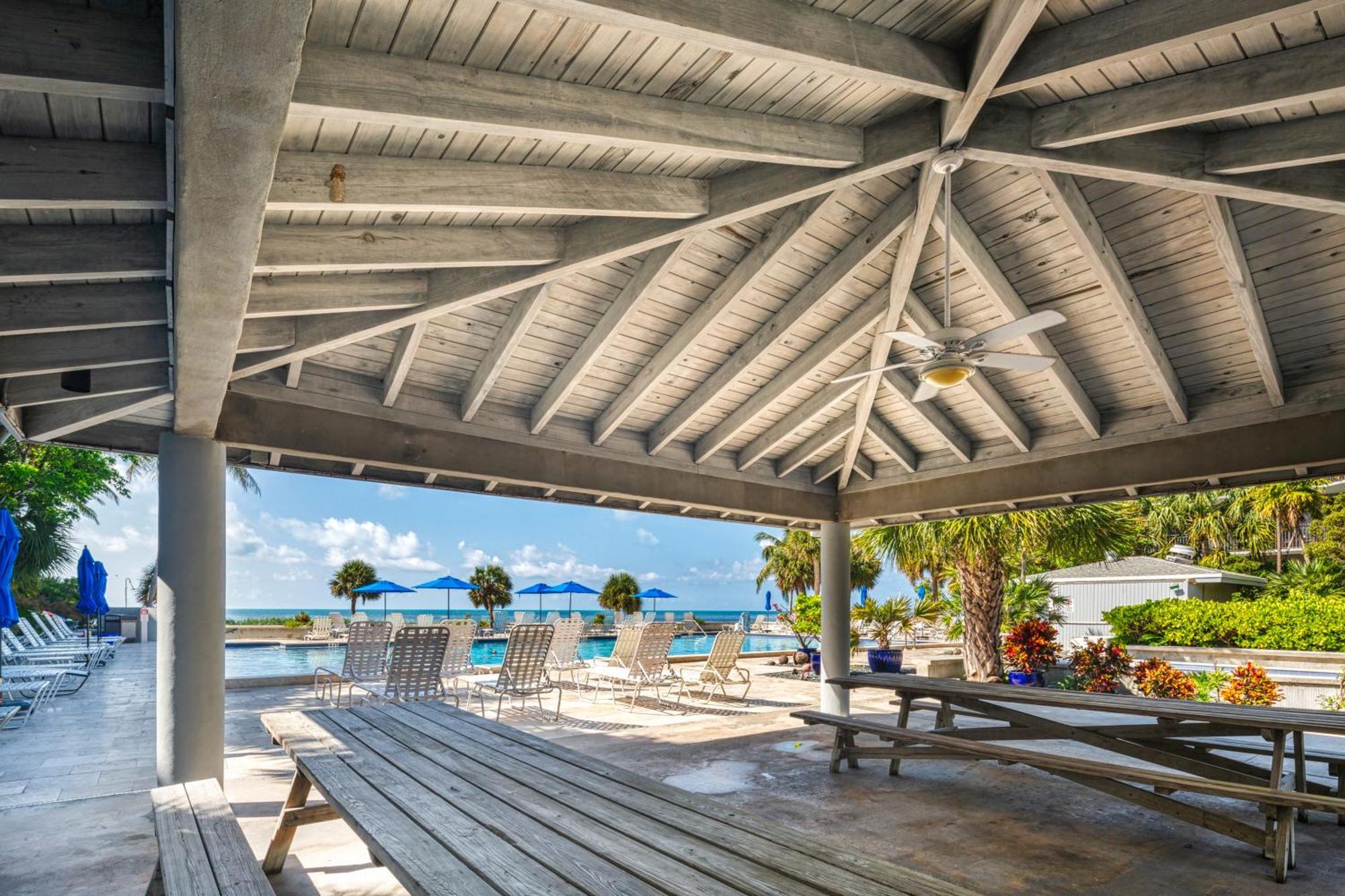 Atlantic Parrot Key West